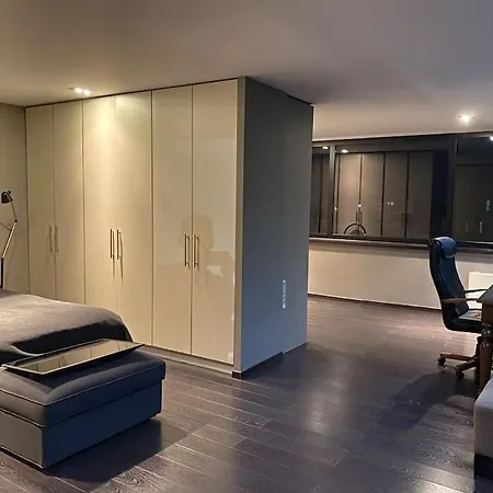 Luxury Loft By Boy Patras